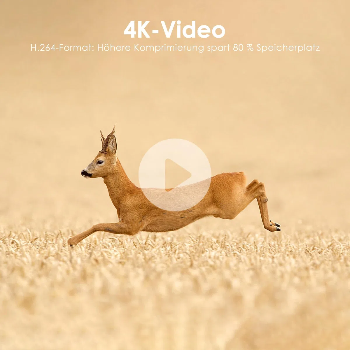 MAXDONE Wildkamera 4K 64MP WLAN Bluetooth Nachtsicht 2000mAh Akku IP66 Wasserdicht