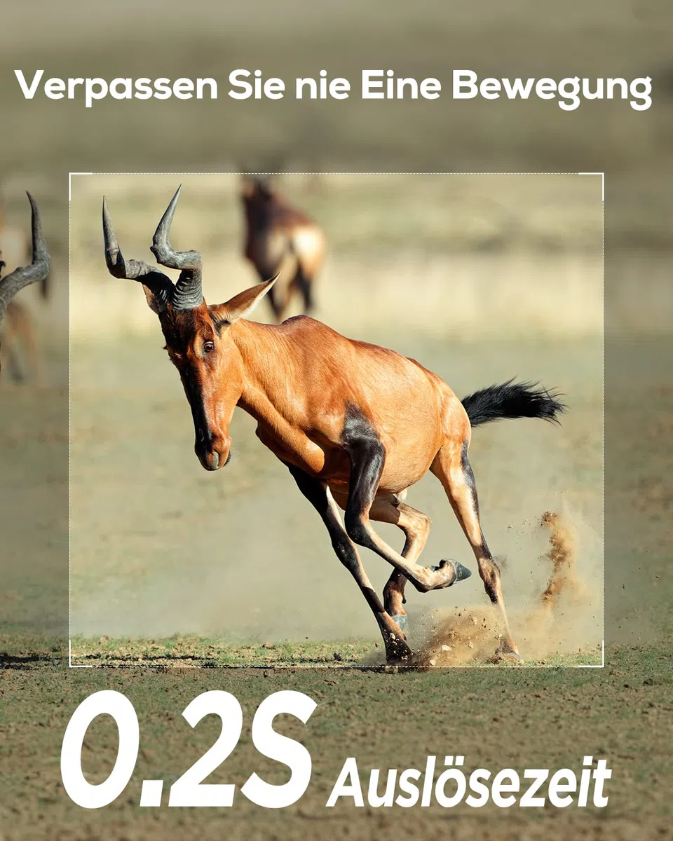 iZEEKER Wildkamera Ohne WLAN, Wildtierkamera mit 940nm No Glow Infrarot LEDs, Wildkamera mit Bewegungsmelder Nachtsicht IP66 Wasserdicht für die Tierbeobachtung Heim Sicherheit