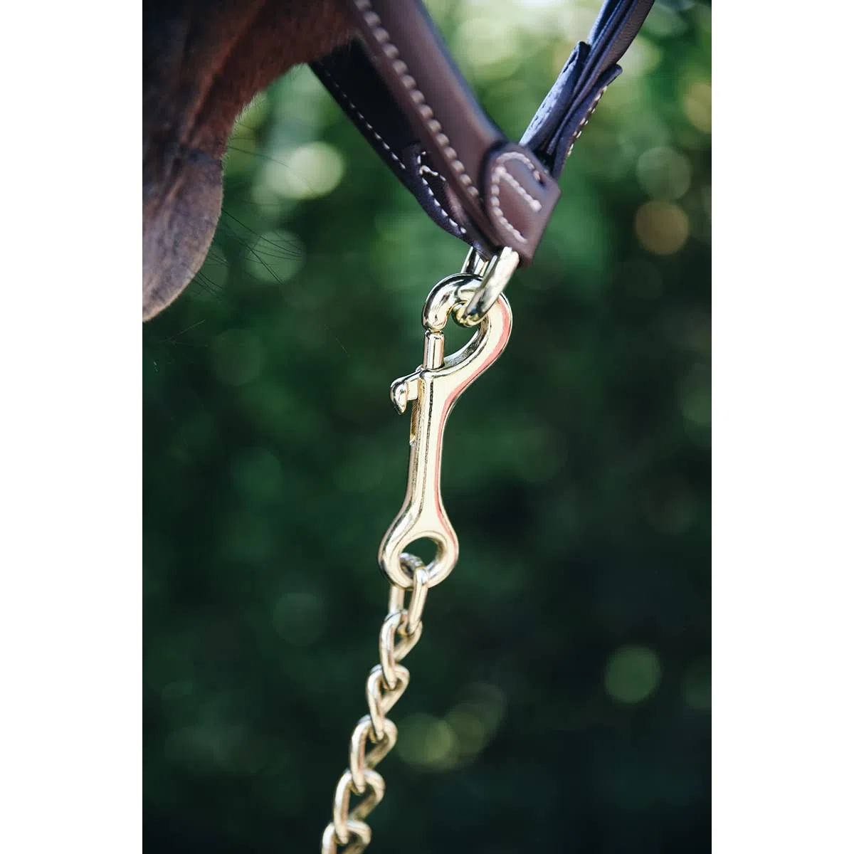 Kentucky Hengstkette, Gold, 60 cm, Metall, Kette, ANIMAL_COLLAR, für temperamentvolle Pferde, Large Animals, Pferd