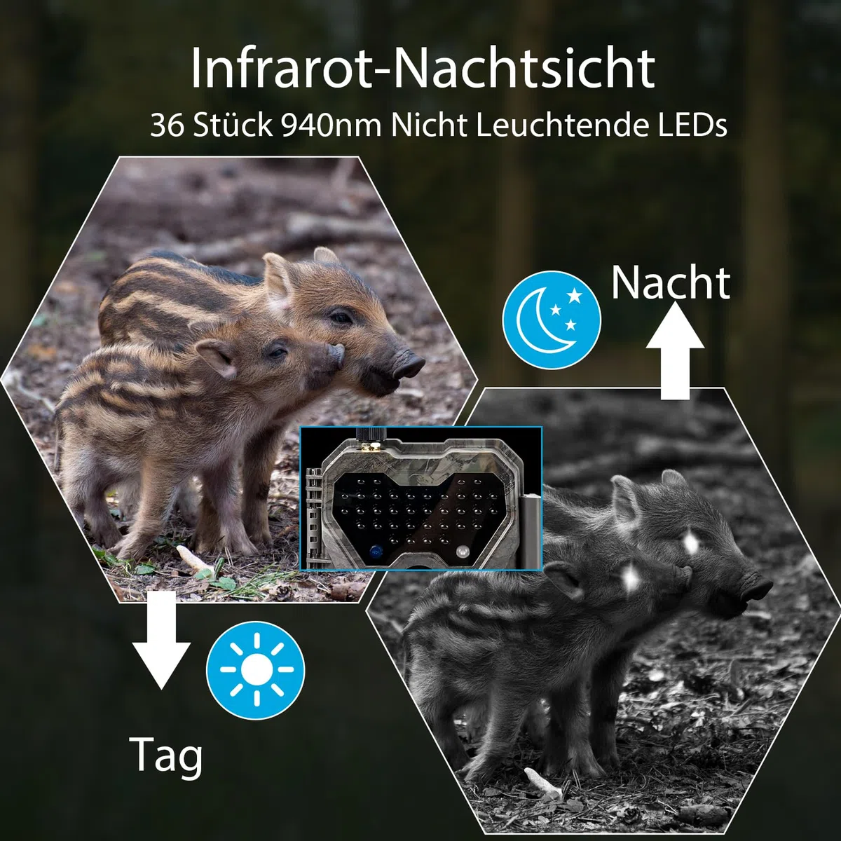 Meidase P300 Wildkamera, WiFi Bluetooth 50m Verbindungsreichweite, Dual Antenne, 64mp 1296p, Nachtsehen, Bewegungsaktivierung, Ip66 Wasserdicht, App Übertragung, Außenüberwachung