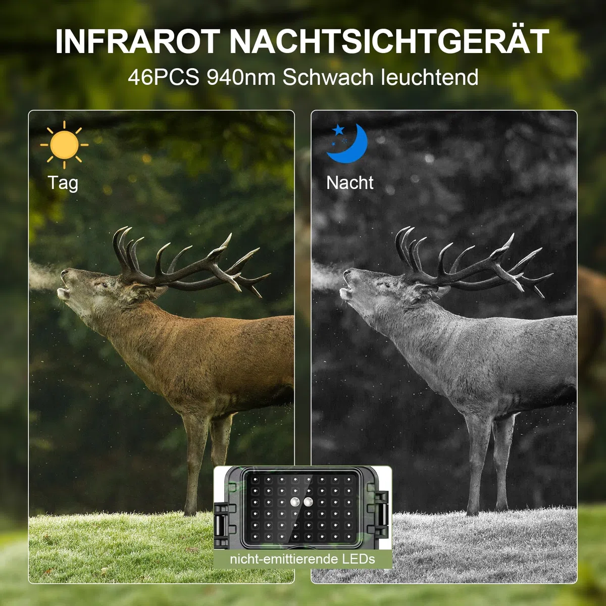 Lutranstra Wildkamera 4K 60MP WLAN mit Handyübertragung APP
