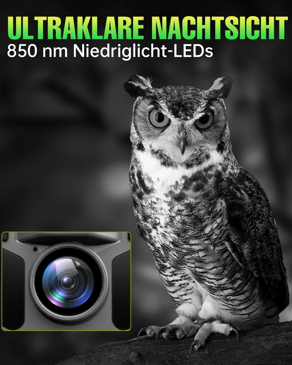 4K 64MP Wildkamera Solar, Eingebaute 5000mAh Lithium-Batterie, 0.2s Auslöser Bewegungsaktiviert, Wildtierkamera mit Nachtsicht, IP67 Wasserdicht, 120° Weitwinkel