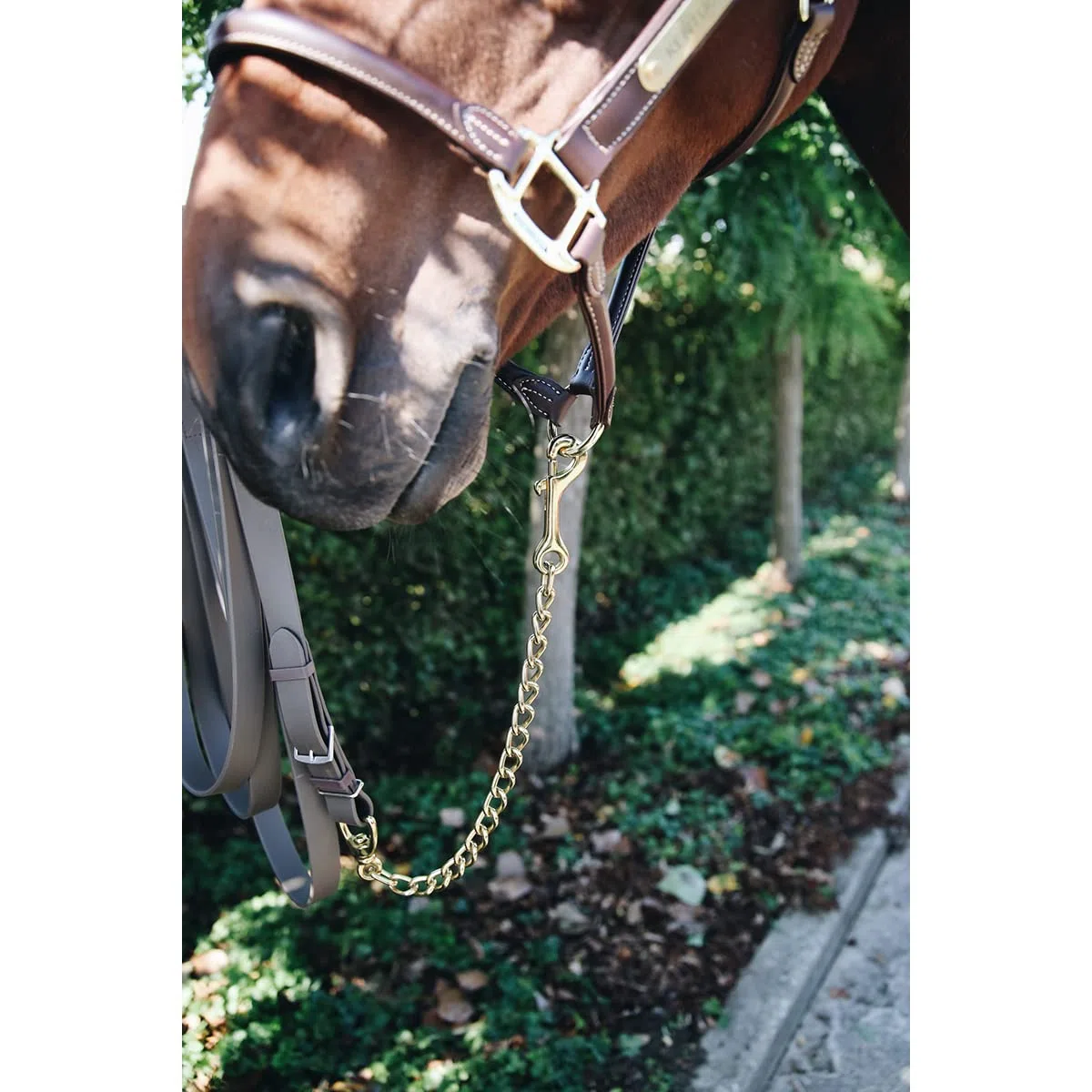 Kentucky Hengstkette, Gold, 60 cm, Metall, Kette, ANIMAL_COLLAR, für temperamentvolle Pferde, Large Animals, Pferd