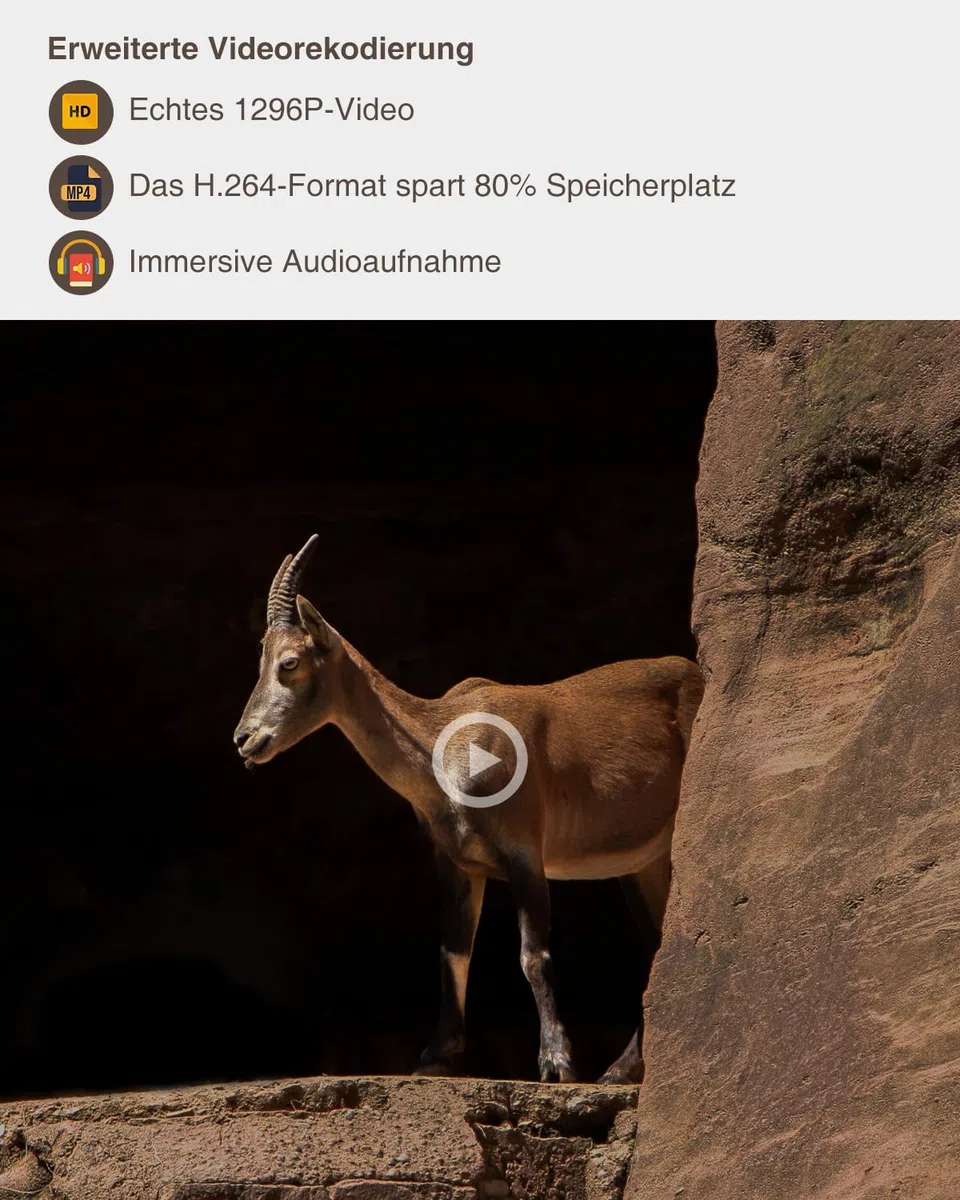 GardePro A5 Wildkamera 64MP 1296P H.264 Video, Wildkamera mit Bewegungsmelder Nachtsicht bis 30m, No-Glow Infrarot Wildtierkamera Outdoor Wasserdicht Tierkamera