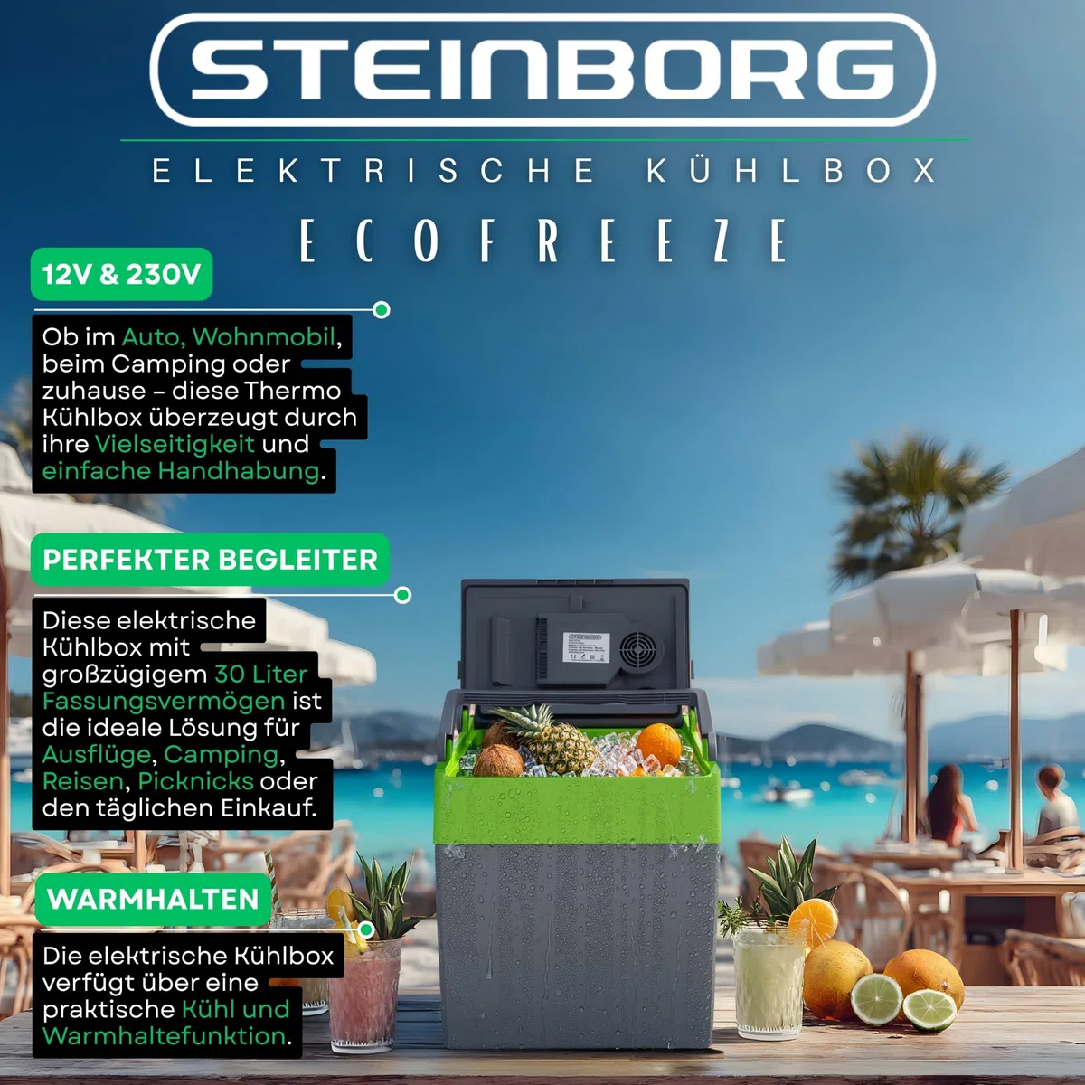 30 Liter 2in1 Kühlbox | Elektrische Kühlbox | Kühltasche | Isoliertasche | Thermobox | Warmhaltebox | Auto | Camping | Thermal Kühlbox