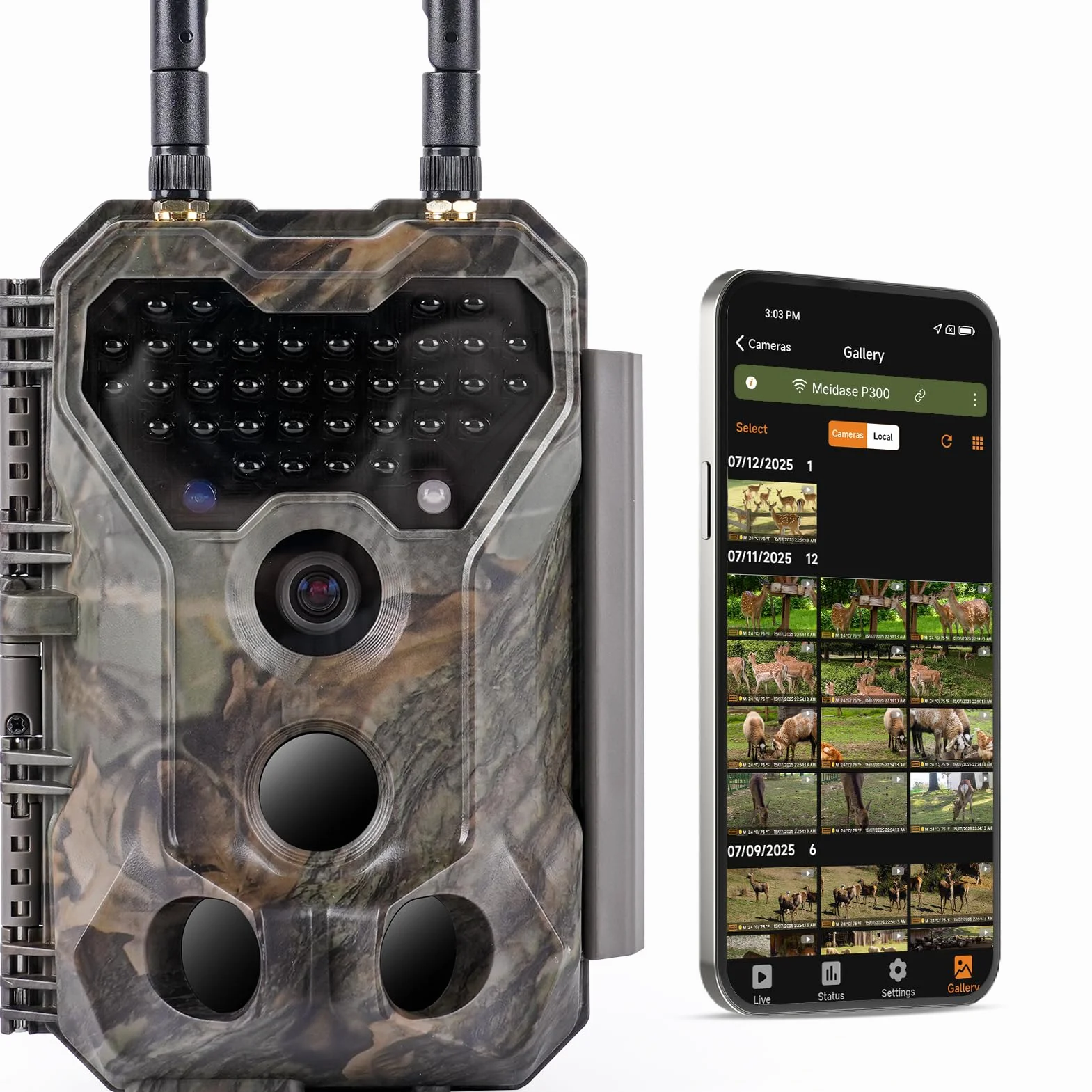Meidase P300 Wildkamera, WiFi Bluetooth 50m Verbindungsreichweite, Dual Antenne, 64mp 1296p, Nachtsehen, Bewegungsaktivierung, Ip66 Wasserdicht, App Übertragung, Außenüberwachung