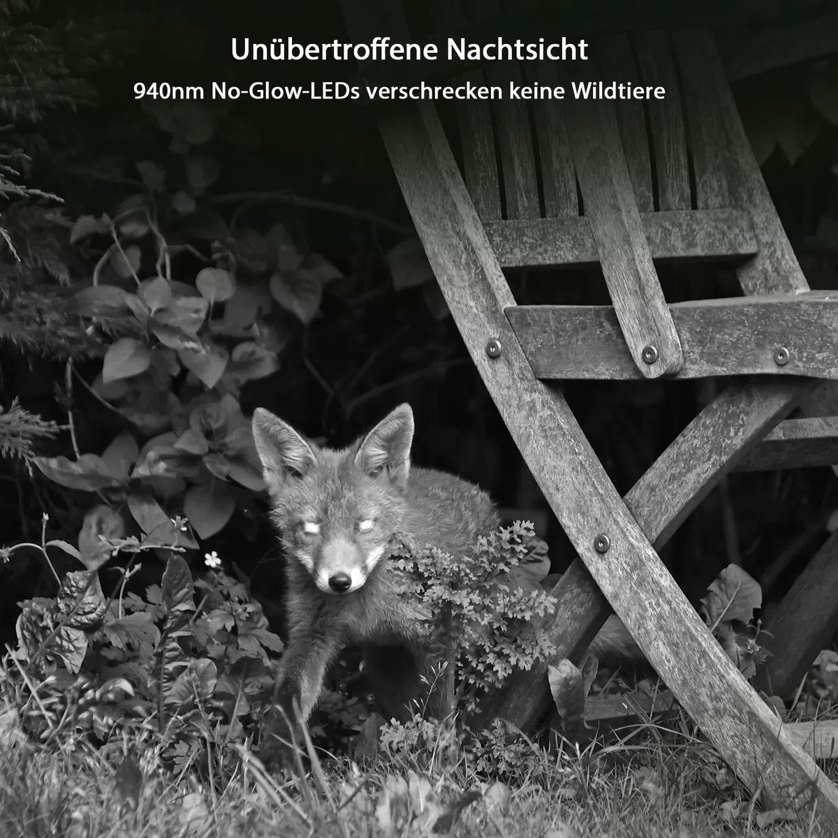 GardePro E8 2.0 Pro Wildkamera Doppelantenne WLAN mit 64GB SD Karte, 64MP H.264 4K Video Wiederaufladbare 7800mAh Akku, Mobilfunkübertragung, 30m Nachtsicht Bewegungsmelder 0,1s Trigge, IP66