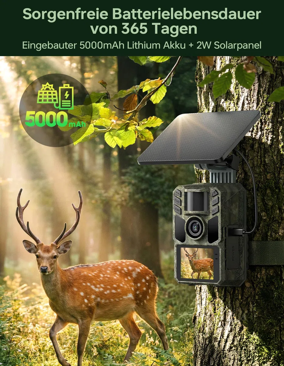 Wildkamera mit Handyübertragung App,Wildtierkamera 4K 64MP WLAN Solar mit Lithium-Batterie, Bewegungsmelder Nachtsicht, Inklusive 64GB SD Karte, 0,1s Auslösezeit, IP67 Wasserdicht