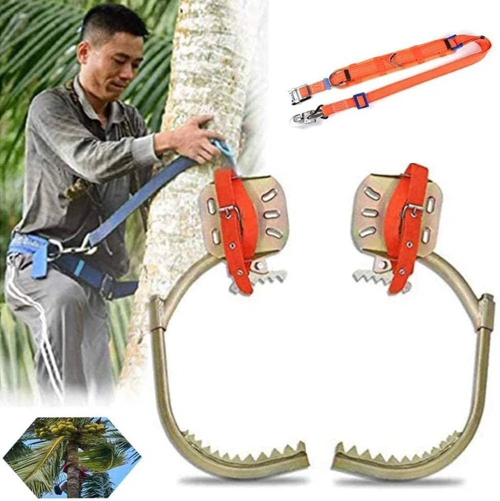 Tree Climbing Spike Set Und Baum Klettern Werkze Ausrüstung Baumklettern Spikes Und Klettern Bäume Artefakt, Zum Jagen, Beobachten Und Pflücken Von Früchten,500