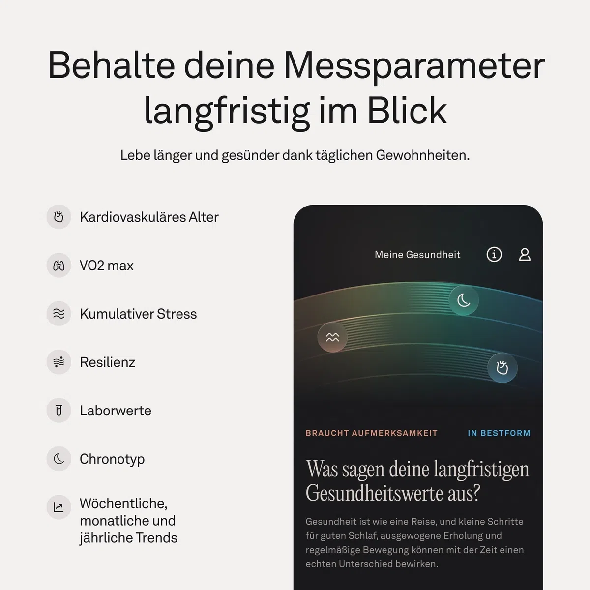 Oura Ring 5 Silver – Größe 9 – Finde Deine Ringgröße
