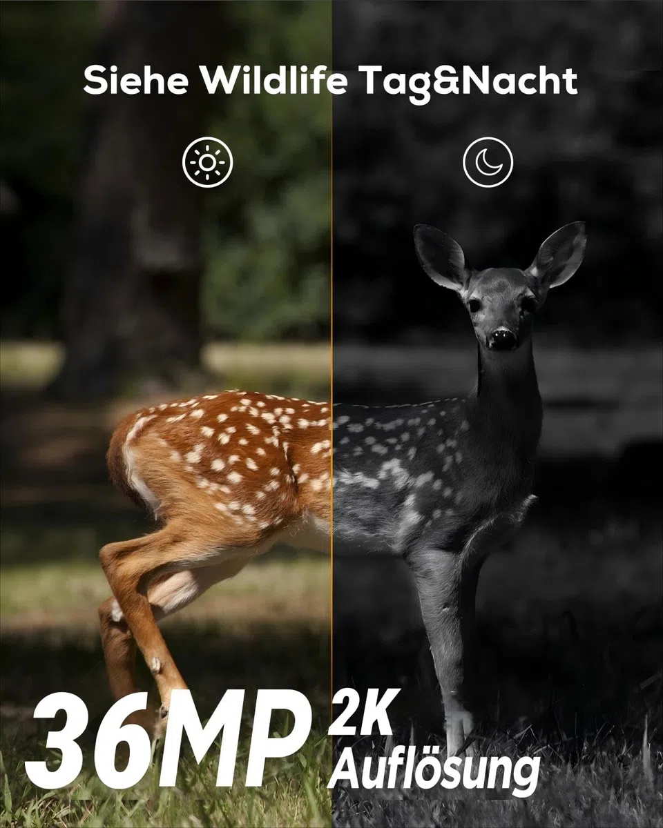 iZEEKER Wildkamera Ohne WLAN, Wildtierkamera mit 940nm No Glow Infrarot LEDs, Wildkamera mit Bewegungsmelder Nachtsicht IP66 Wasserdicht für die Tierbeobachtung Heim Sicherheit