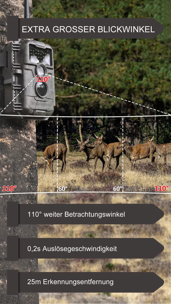GardePro E6P Wildkamera WLAN, Wiederaufladbare 8000mAh Akku, 64MP 1296P, Wildtierkamera mit bewegungsmelder nachtsicht, Handyübertragung