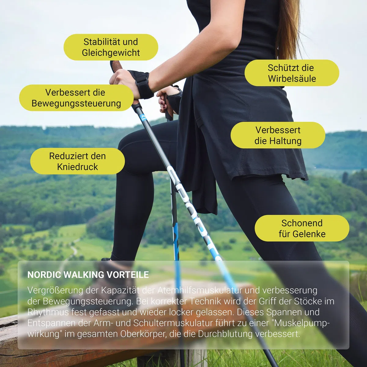 MSPORTS Nordic Walking Stöcke Premium - hochwertige Qualität - Superleicht - auswählbar mit Tragetasche - Walking Sticks