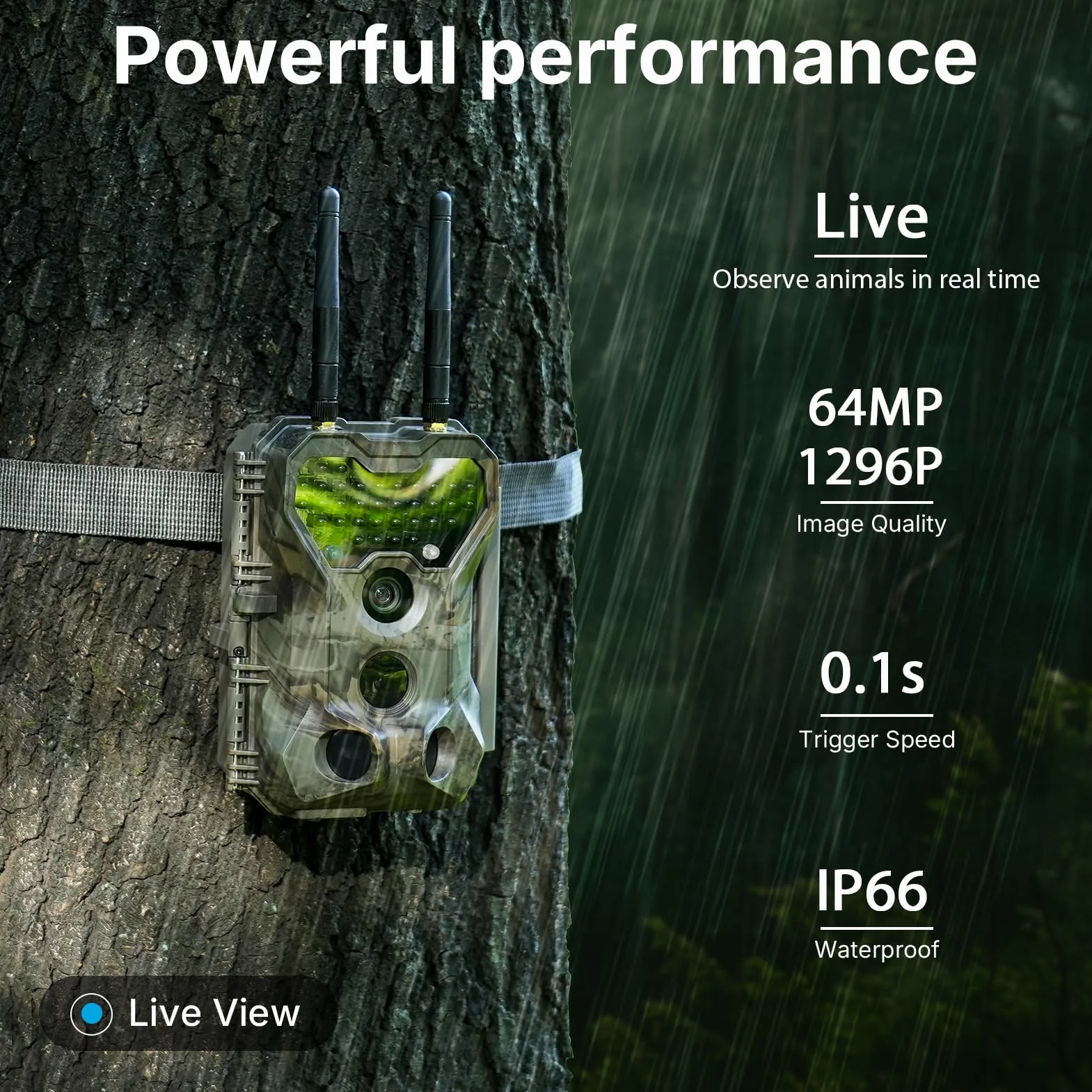 Meidase P300 Wildkamera, WiFi Bluetooth 50m Verbindungsreichweite, Dual Antenne, 64mp 1296p, Nachtsehen, Bewegungsaktivierung, Ip66 Wasserdicht, App Übertragung, Außenüberwachung