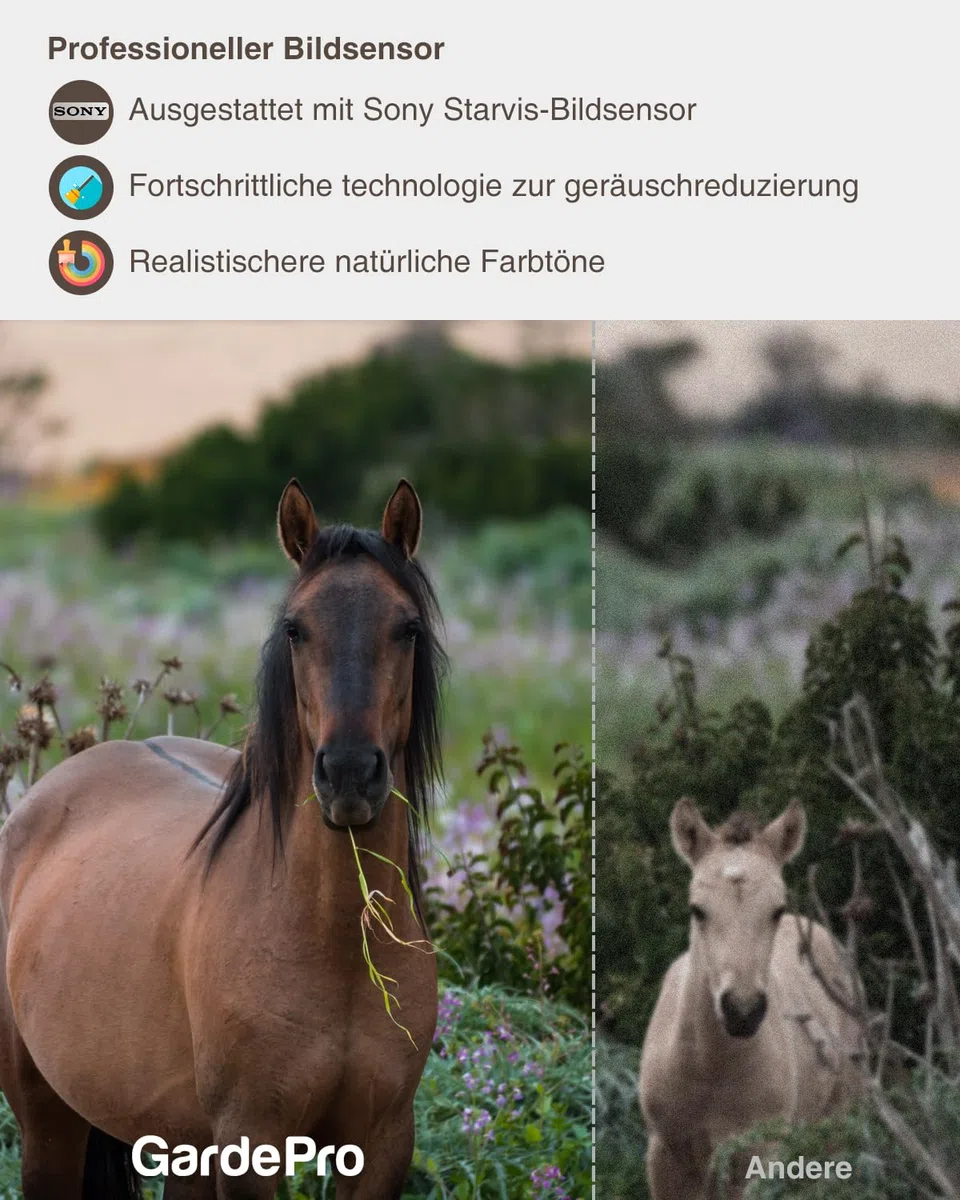 GardePro A5 Wildkamera 64MP 1296P H.264 Video, Wildkamera mit Bewegungsmelder Nachtsicht bis 30m, No-Glow Infrarot Wildtierkamera Outdoor Wasserdicht Tierkamera